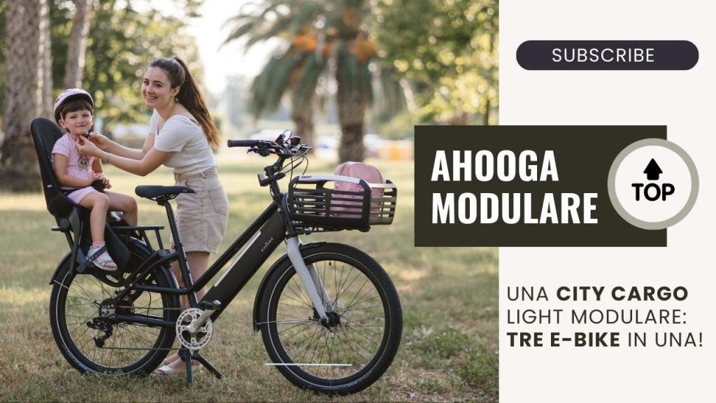 Ahooga Modular