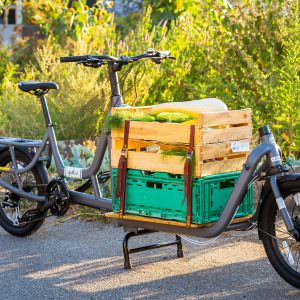 Cargo Bike - Yuba Supercargo