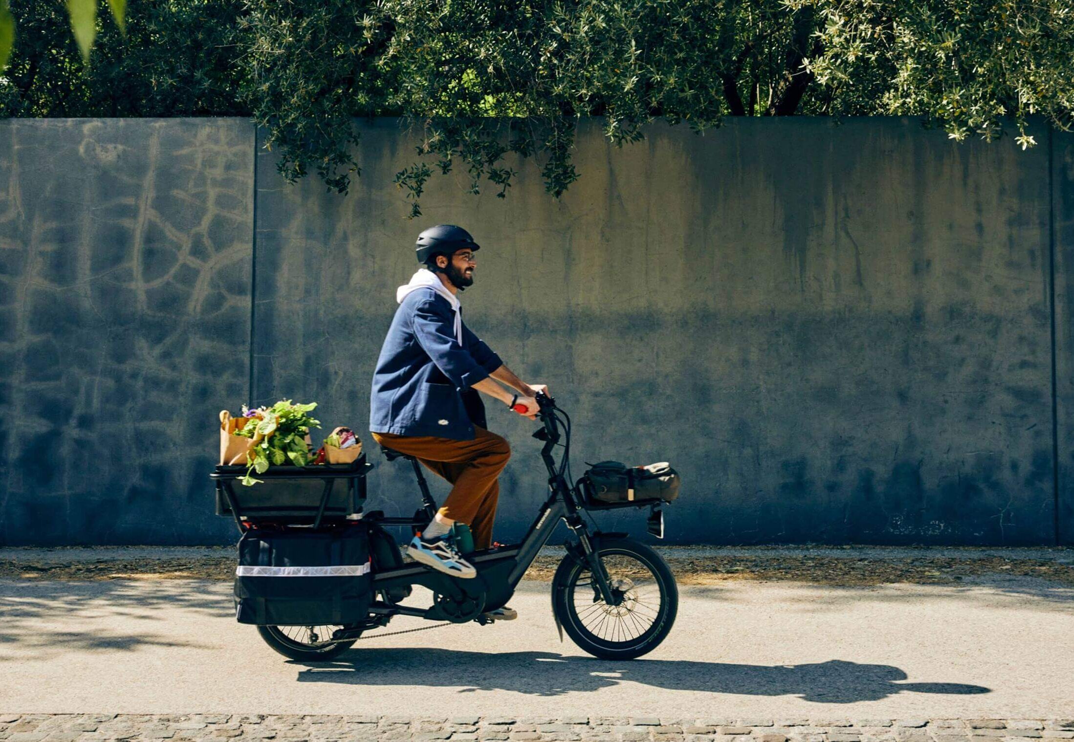 CANNONDALE Cargowagen Neo Lifestyle